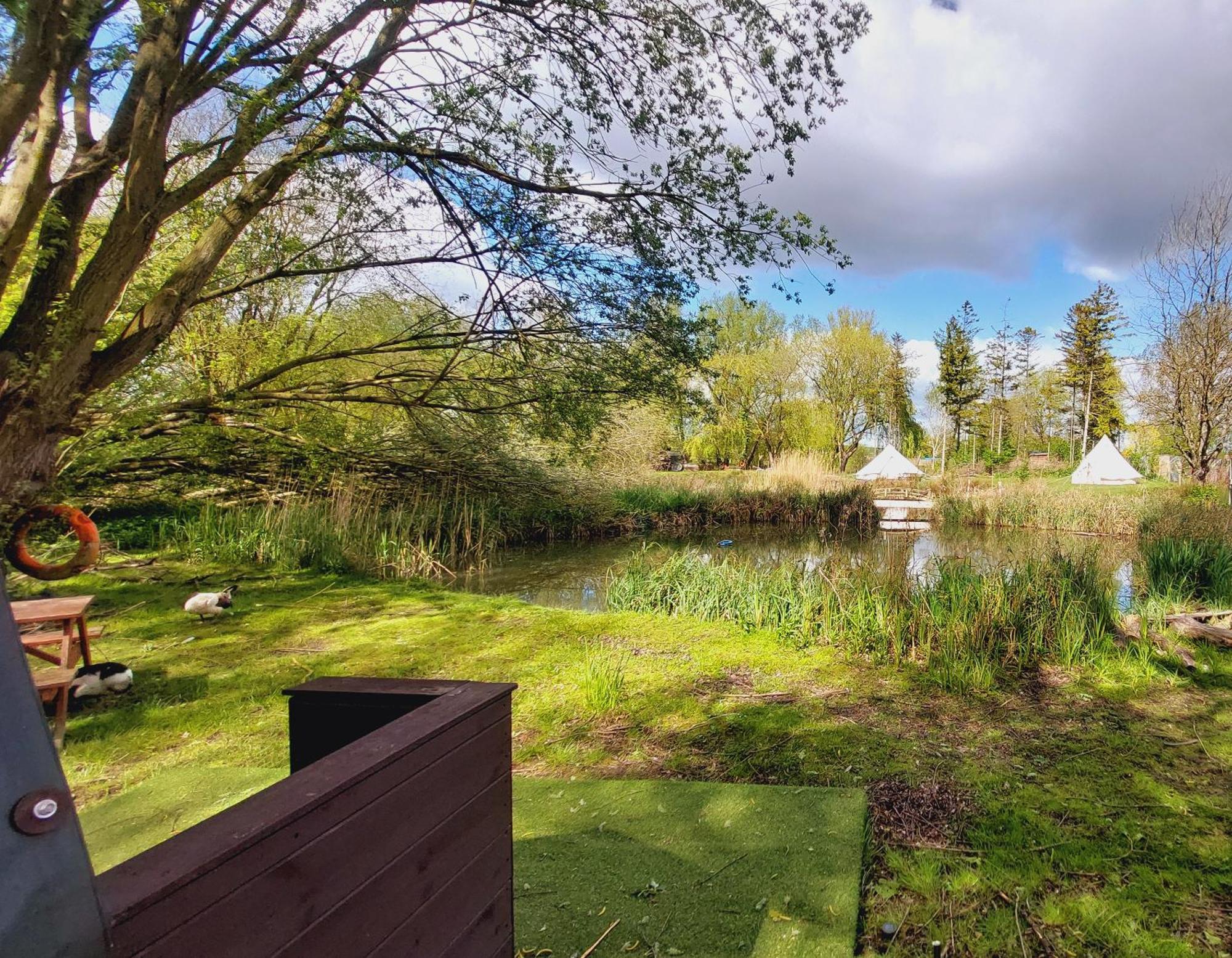 Rum Bridge Fisheries "The Cabin" Hotel Clare Exterior foto