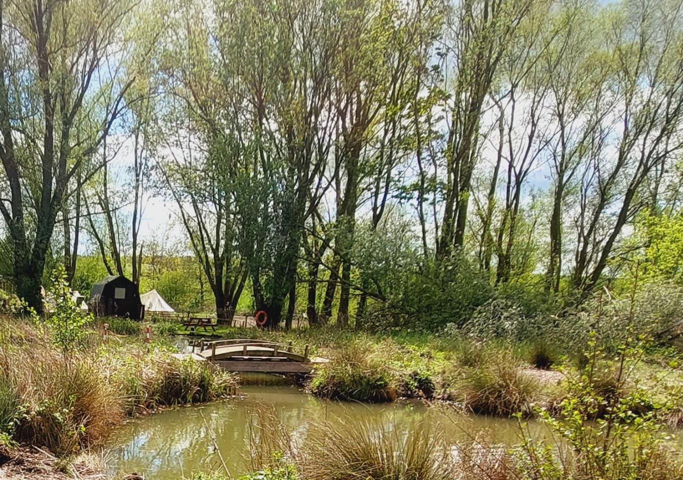 Rum Bridge Fisheries "The Cabin" Hotel Clare Exterior foto
